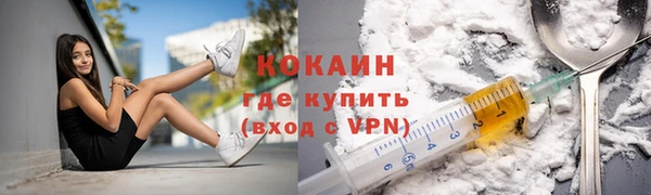 трава Белокуриха