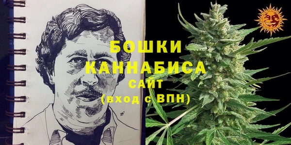 гидропоника Богданович