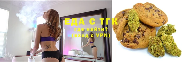 спиды Богородицк