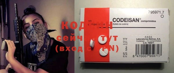 спиды Богородицк