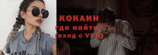 спиды Богородицк