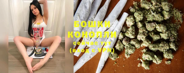 спиды Богородицк