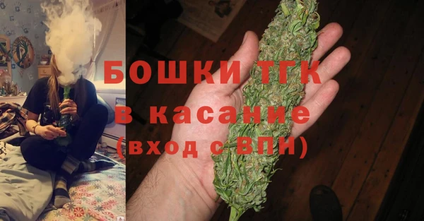 спиды Богородицк