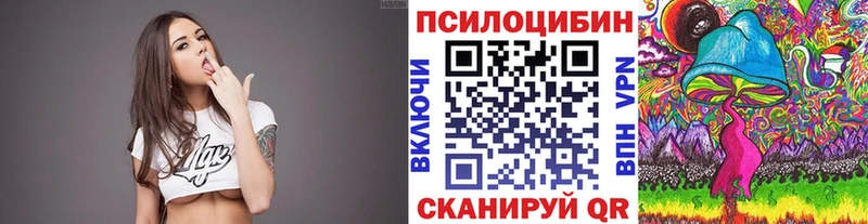 Галлюциногенные грибы прущие грибы  OMG как зайти  Менделеевск 